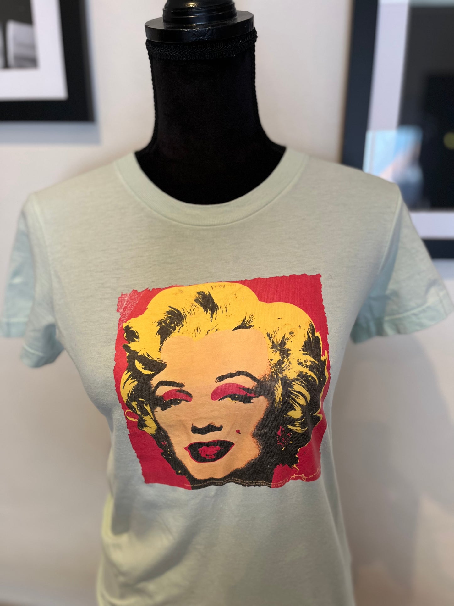 American Apparel Women’s Marilyn Monroe X Andy Warhol Print Size Small Light Green 100% Cotton