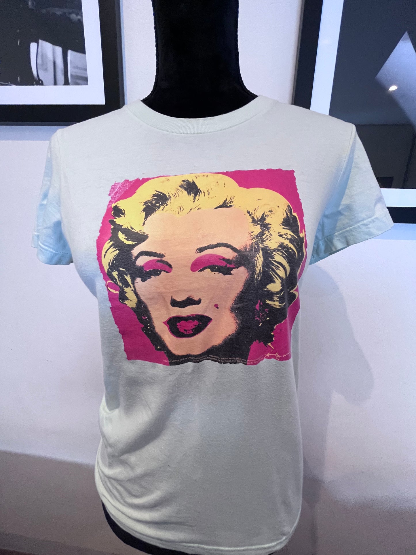 American Apparel Women’s Marilyn Monroe X Andy Warhol Print Size Small Light Green 100% Cotton